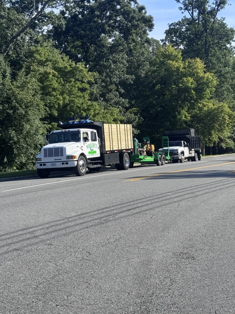 Wright's Tree and Landscapes company trucks